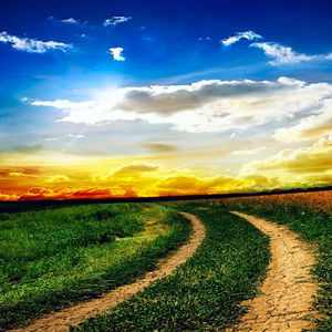 Meet your Posher, Viktoria